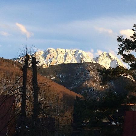 Dom Wypoczynkowy Jadzia Zakopane Kültér fotó
