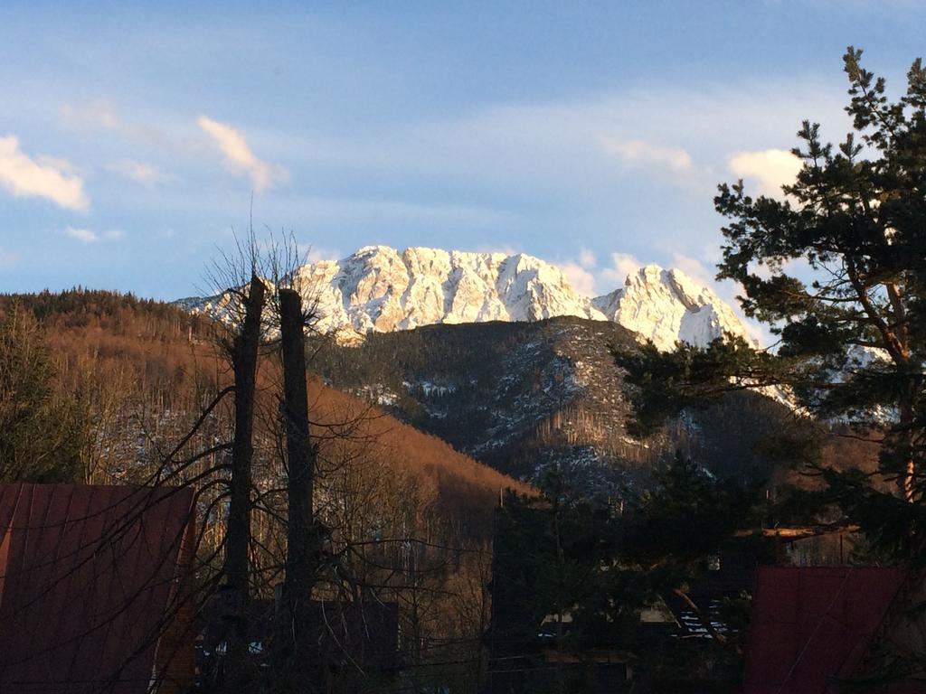 Dom Wypoczynkowy Jadzia Zakopane Kültér fotó