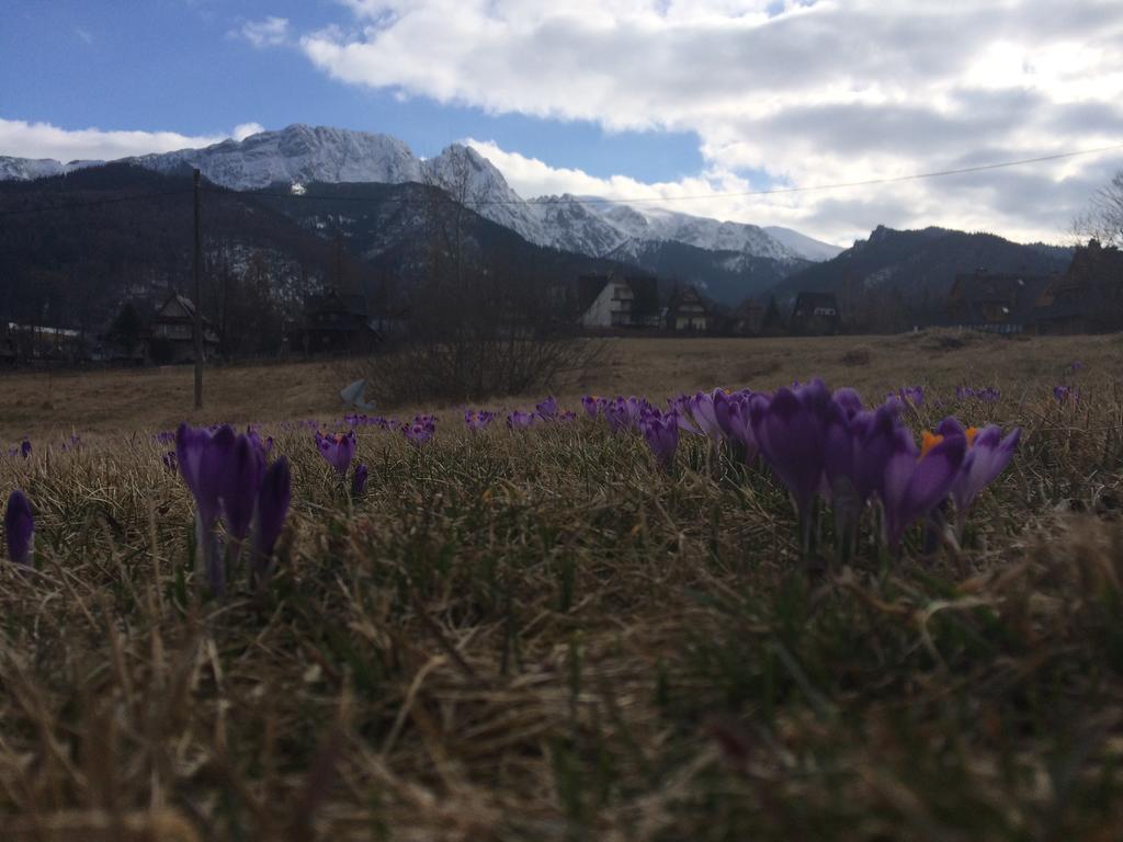 Dom Wypoczynkowy Jadzia Zakopane Kültér fotó