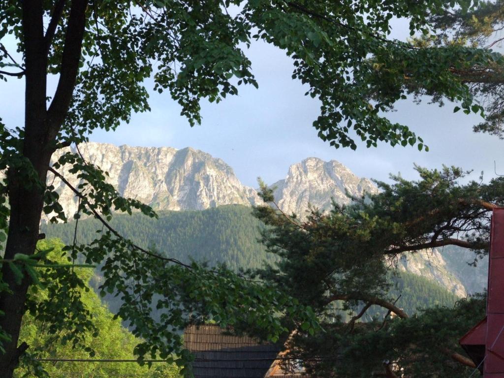 Dom Wypoczynkowy Jadzia Zakopane Kültér fotó