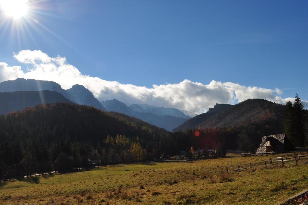 Dom Wypoczynkowy Jadzia Zakopane Kültér fotó